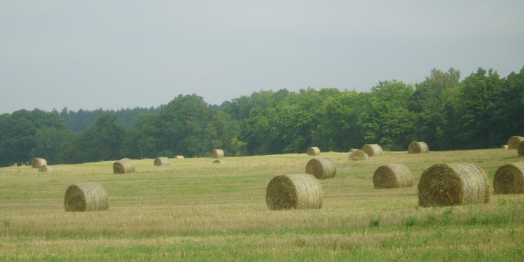 Gospodarstwo Agroturystyczne Lesniczowka Lubin  Exterior photo